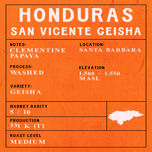 Honduras - San Vicente Geisha