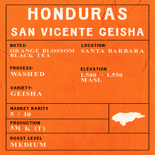 Honduras - San Vicente Geisha