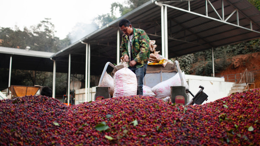 THE HISTORY AND UNIQUE JOURNEY OF CHINESE COFFEE