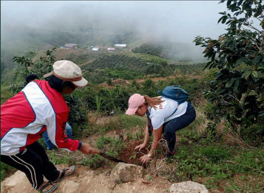 PHILIPPINES COFFEE INDUSTRY AND BACOFA'S COMMITMENT TO COMMUNITY