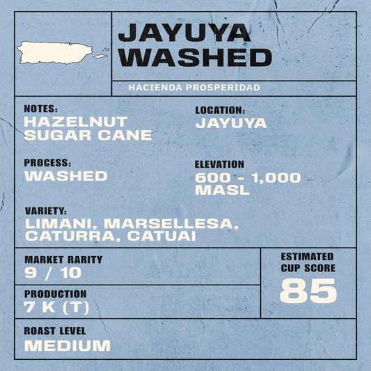 PUERTO RICO - JAYUYA